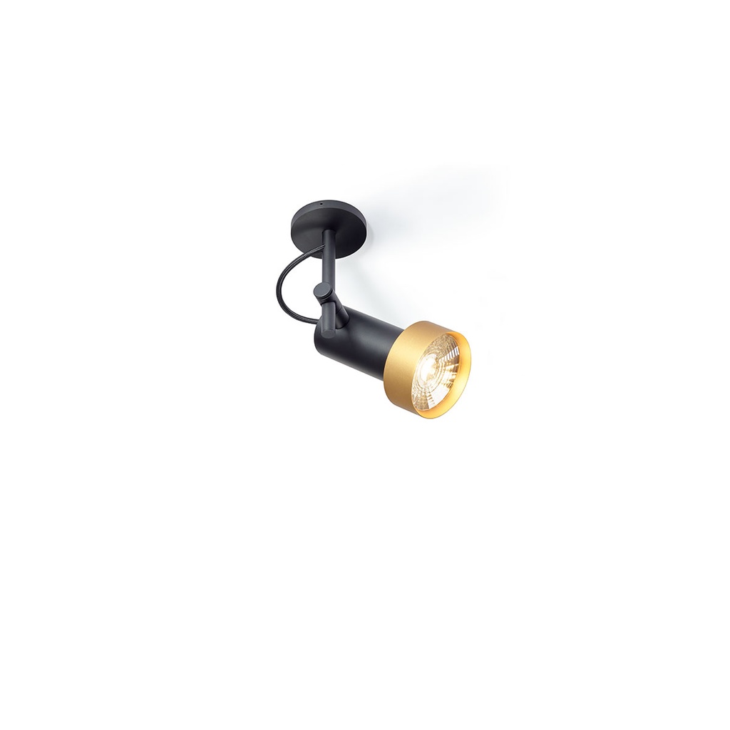 2Thirty-C1 in 350mA BLACK frame + BLACK rod + BLACK swivel + BLACK ring / 24° / Driver excl.1241LM 2700K CRI97 IP50
