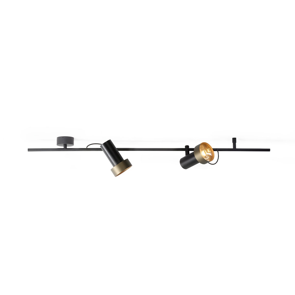 2Thirty-CH2 BLACK frame + BLACK rod + BLACK swivel + BLACK ring / 40° + 40° / dimmable (TRIAC/IGBT)2x 1000LM 2700K CRI90 IP50