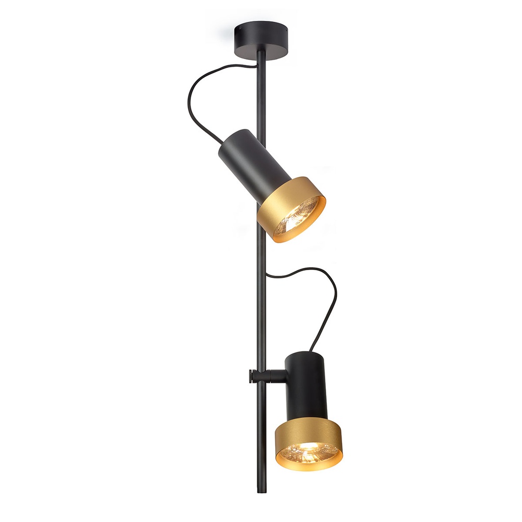 2Thirty-CV2 BLACK frame + BLACK rod + BLACK swivel + BRONZE ring / 40° + 24° / dimmable (TRIAC)2x 1000LM 2700K CRI90 IP50