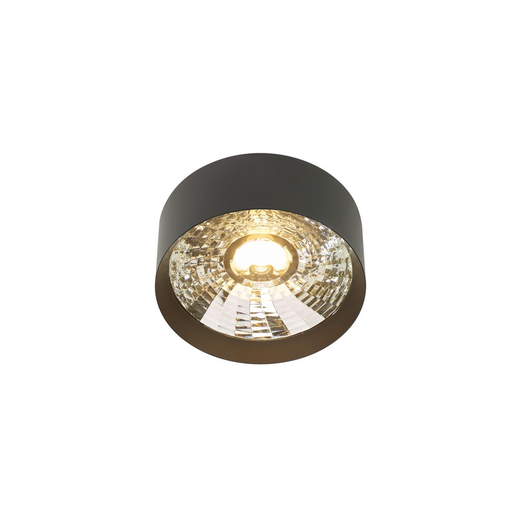 2Thirty-WV2 with honeycomb BLACK frame + BLACK rod + BLACK swivel + ALU ring / 40° + 12° / dimmable (TRIAC)1241LM 2700K CRI97 IP50