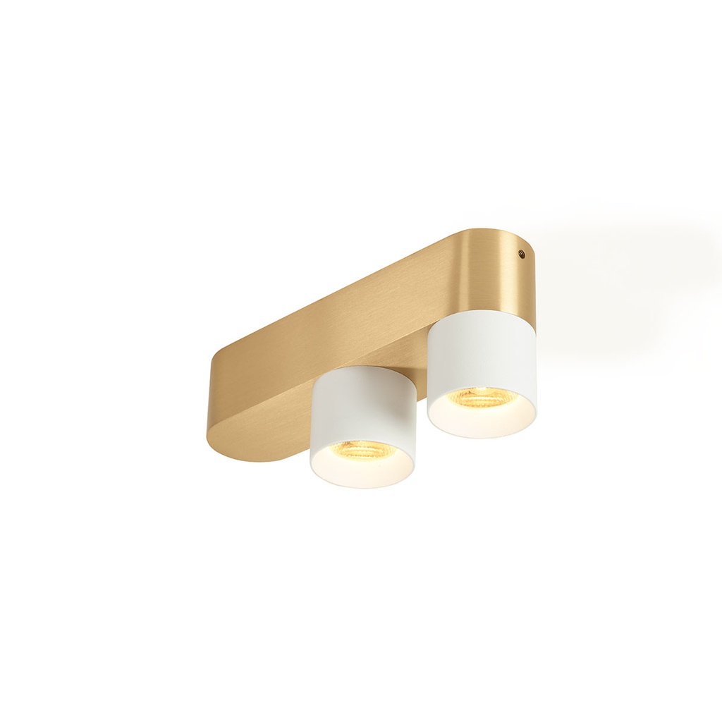 Audy-Duo 1 up Rounded with honeycomb GUNMETAL base + BRASS ring / 3000K / 40° / Driver incl. / dimmable (TRIAC/IGBT)  2x 487LM 2700K CRI95 IP50