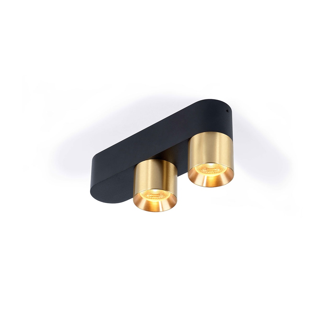 Audy-Duo 2 up Rounded BRASS base + WHITE ring / 3000K / 23° / Driver incl. / dimmable (TRIAC/IGBT)  2x 517LM 3000K CRI95 IP50