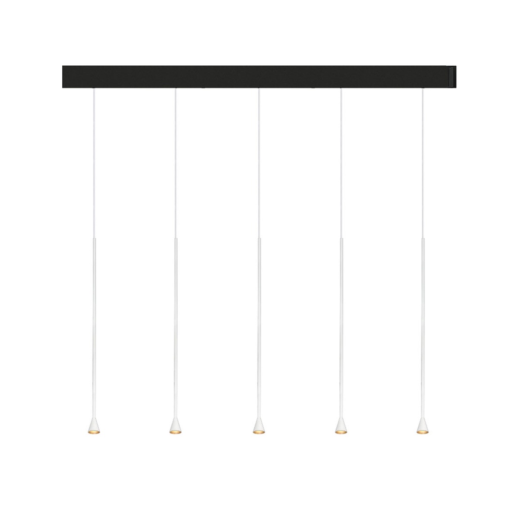Austere-D2 5 RL79 BRASS frame + BLACK base 200CM + BLACK cable 1000mm / Driver incl. / dimmable (PUSH-DIM or DALI)5x 634LM 2700K CRI93 IP50