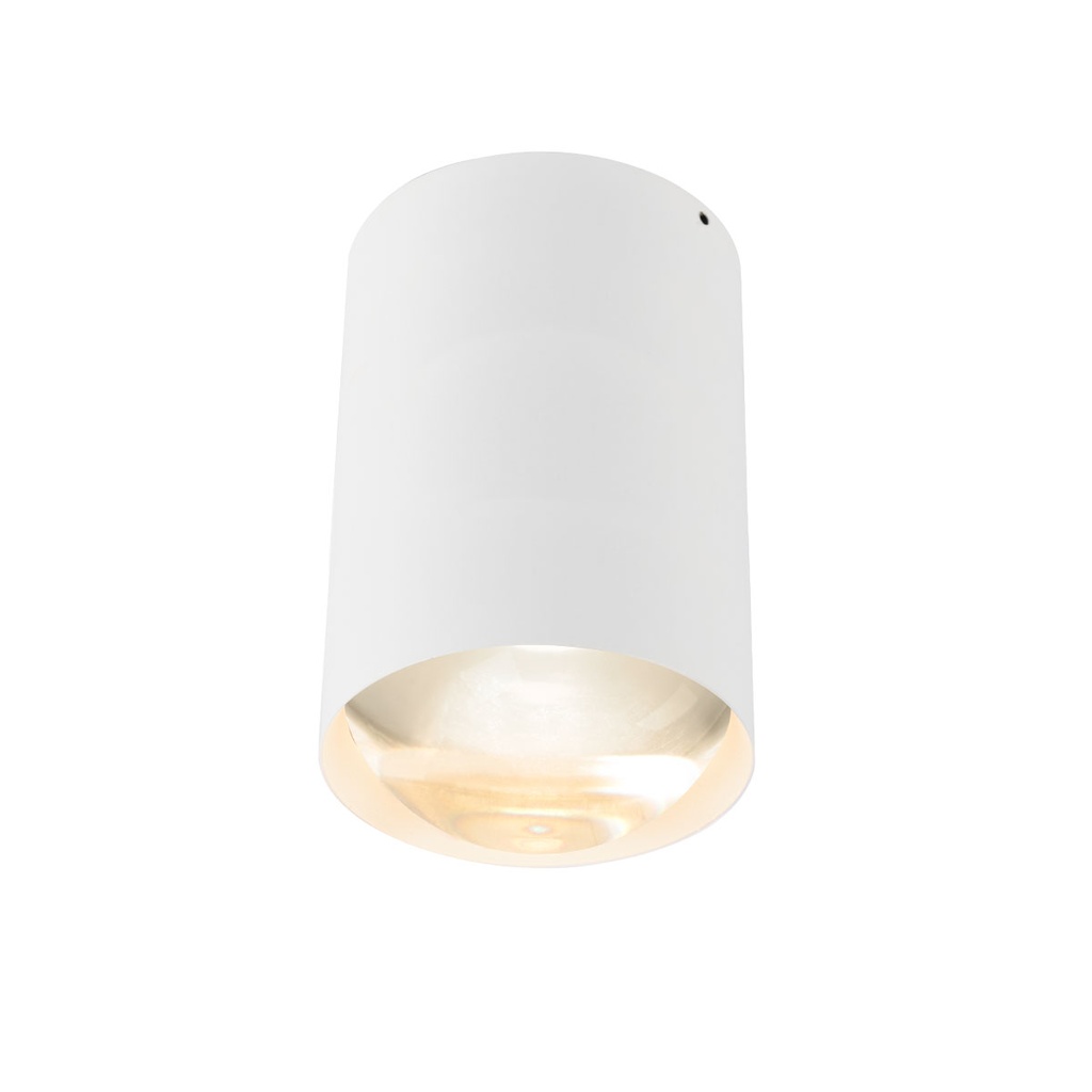 Bily 16 in BRONZE + SILVER LEDholder / WW / Driver excl. / Concrete ceiling1125LM 2700K CRI97 IP50