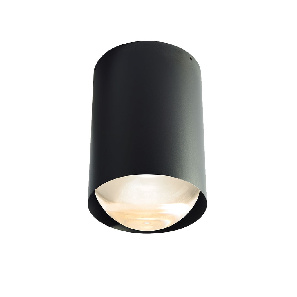 Bily 16 BATHROOM / OUT BRONZE + SILVER LEDholder / WW / Driver excl. / False ceiling 1125LM 2700K CRI97 IP55