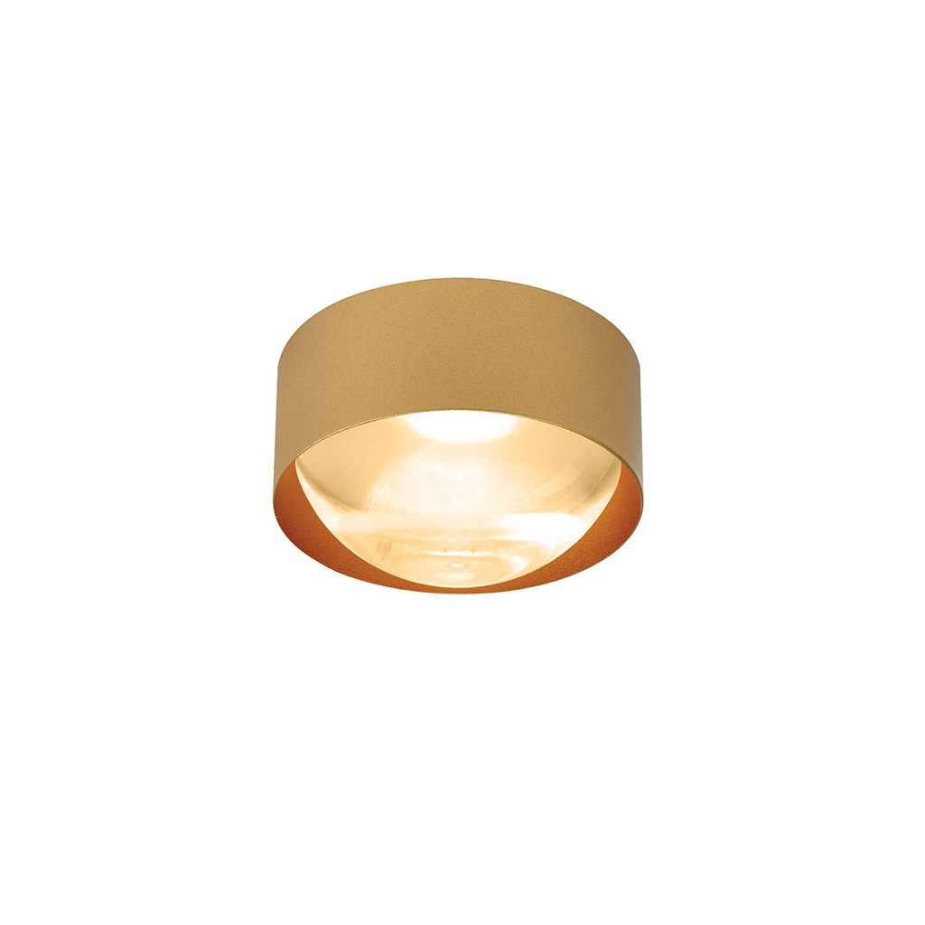 Bily 16 up BATHROOM / OUT BLACK + GOLD LEDholder / WW / Driver incl. / dimmable (TRIAC/IGBT) 1125LM 2700K CRI97 IP55