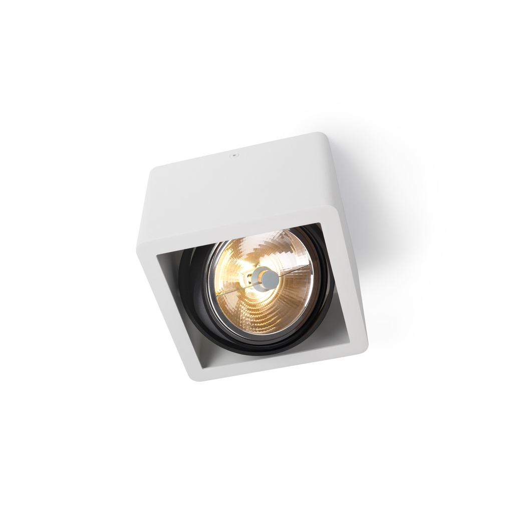 R110 in Rimless BLACK ring + WHITE int. / Transf. excl. / Bulb excl.      IP20