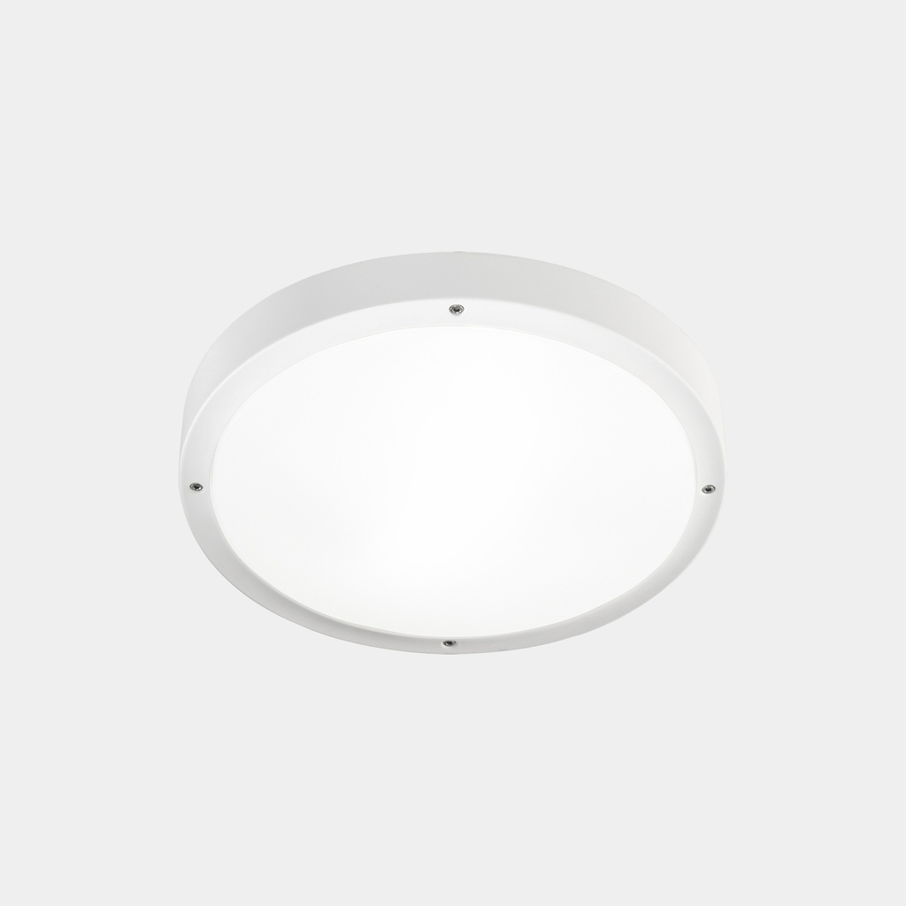 Basic ø260mm