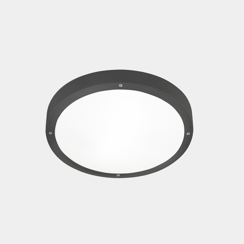 Basic ø260mm