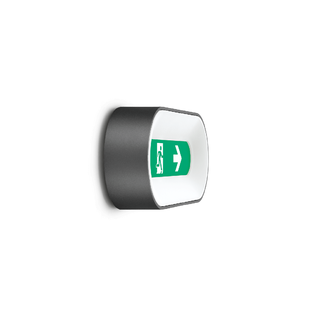 Ross 280 Emergenza LED  4K 9W Antrac. Em.