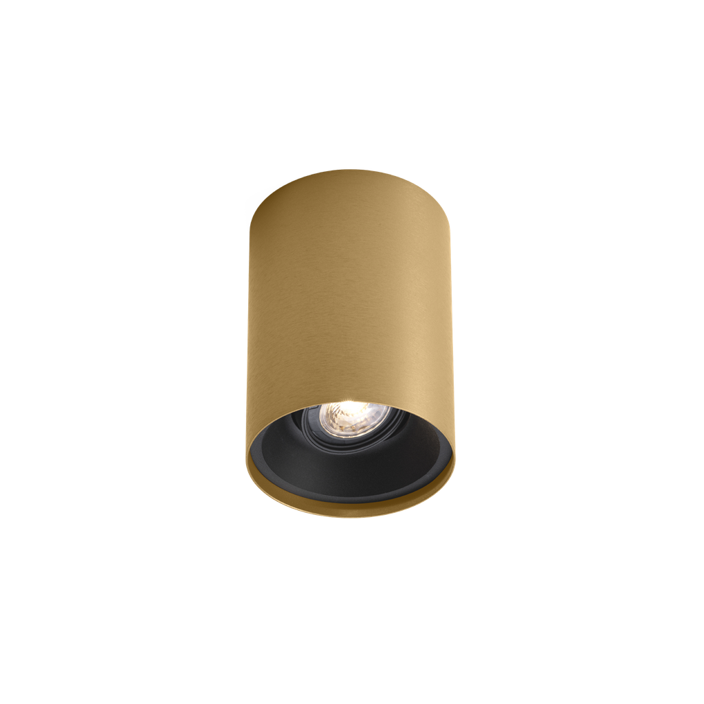 SOLID CEILING SURF 1.0 PAR16 M-B