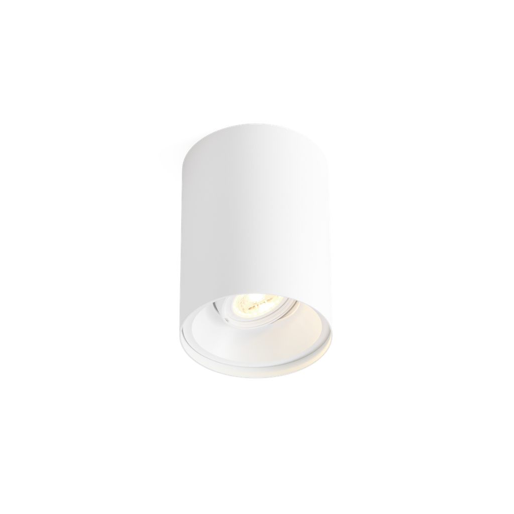 SOLID CEILING SURF 1.0 PAR16 W-W
