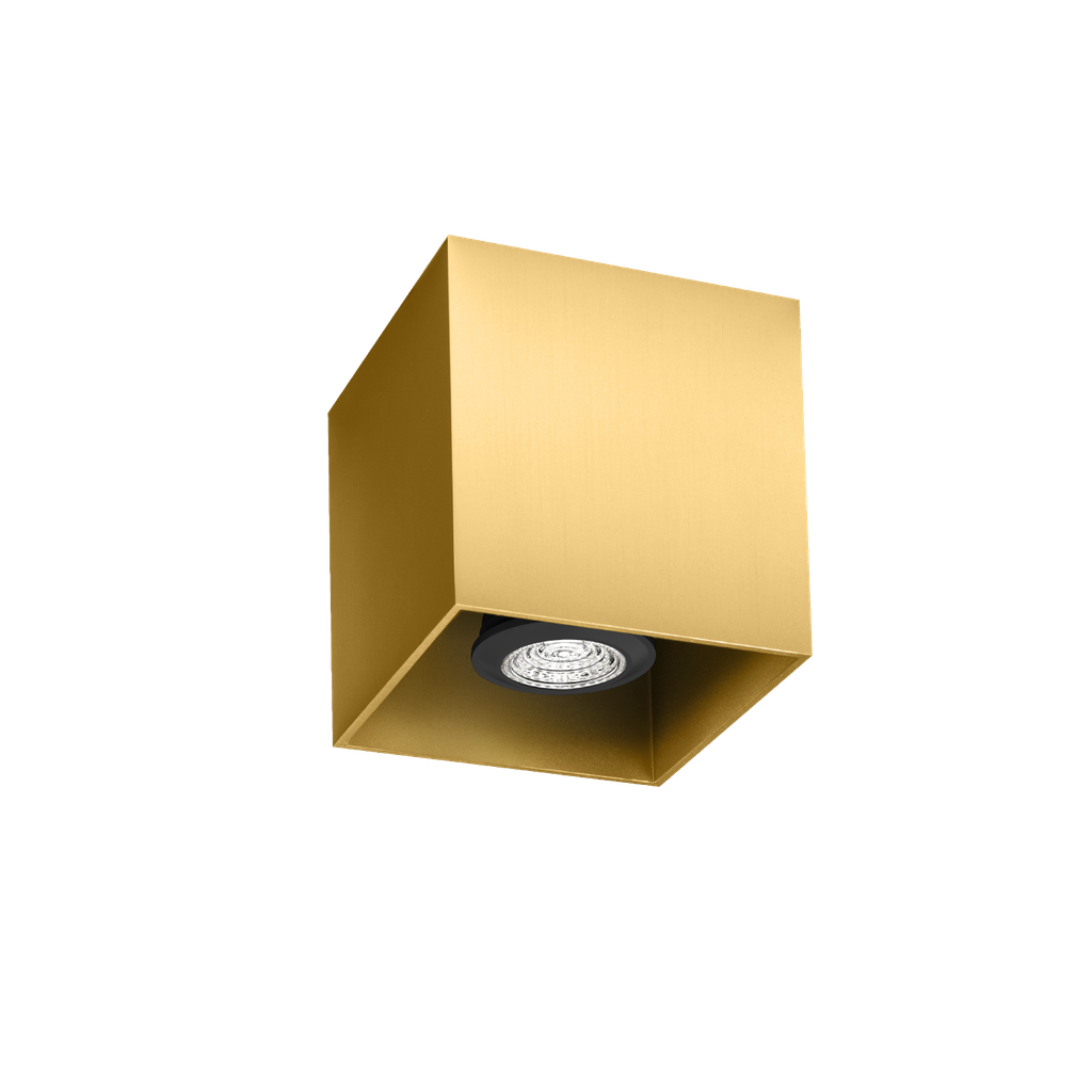 BOX CEILING SURF 1.0 PAR16 G