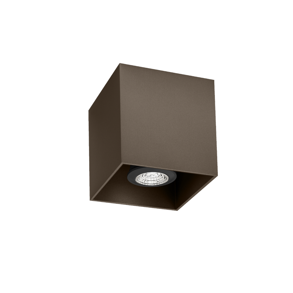 BOX CEILING SURF 1.0 PAR16 Q