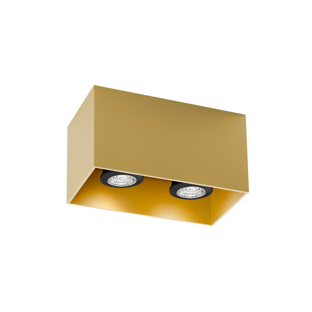 BOX CEILING SURF 2.0 PAR16 G