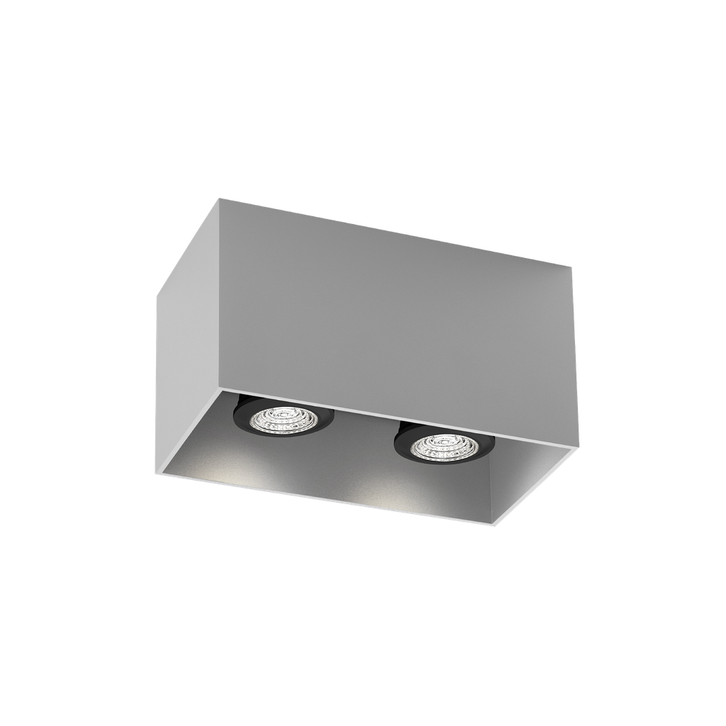 BOX CEILING SURF 2.0 PAR16 L