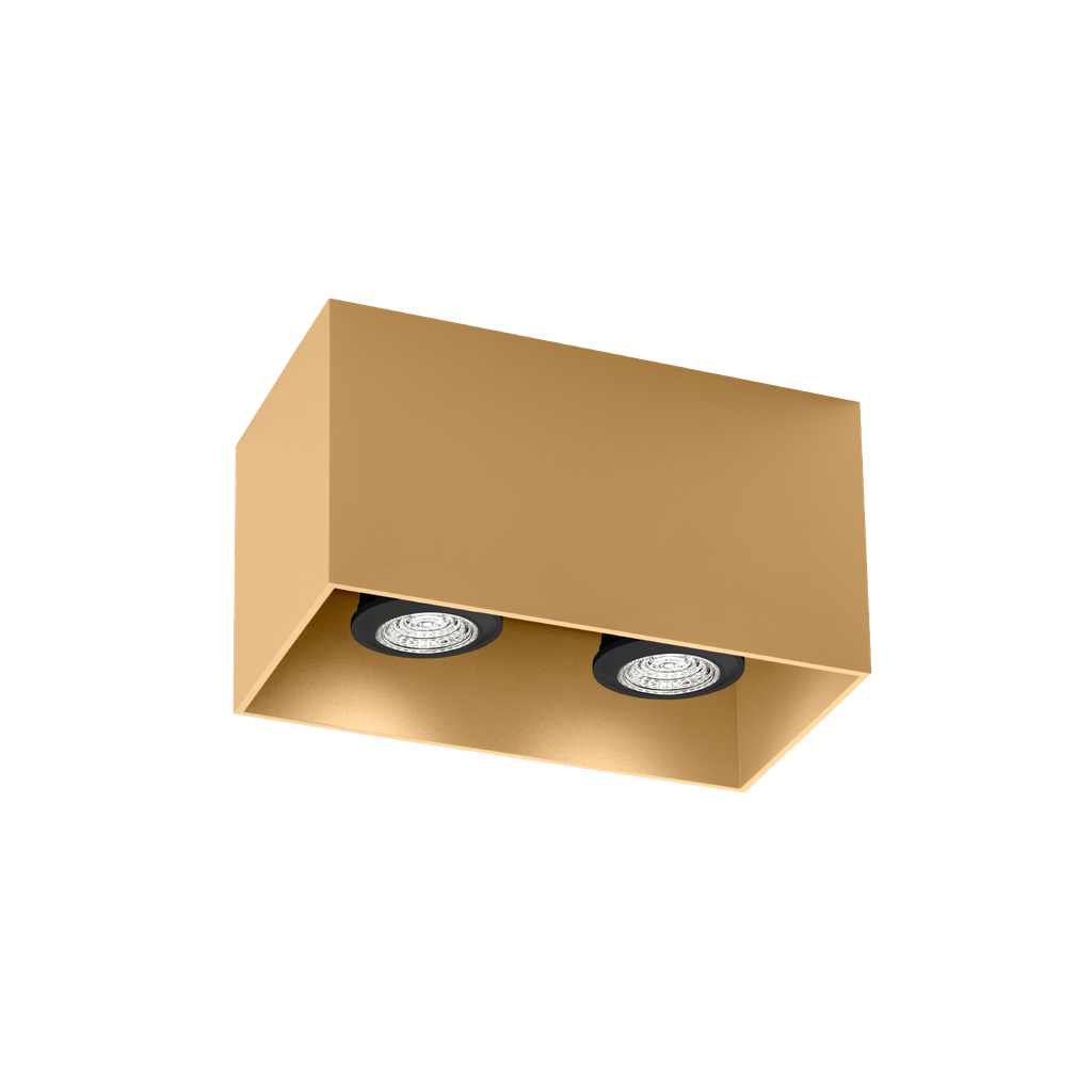 BOX CEILING SURF 2.0 PAR16 M