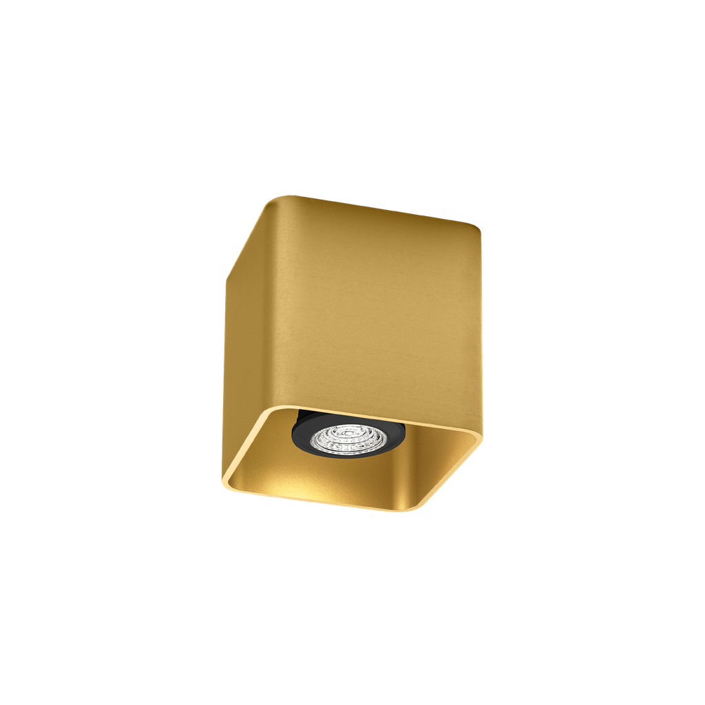 DOCUS CEILING SURF 1.0 PAR16 G