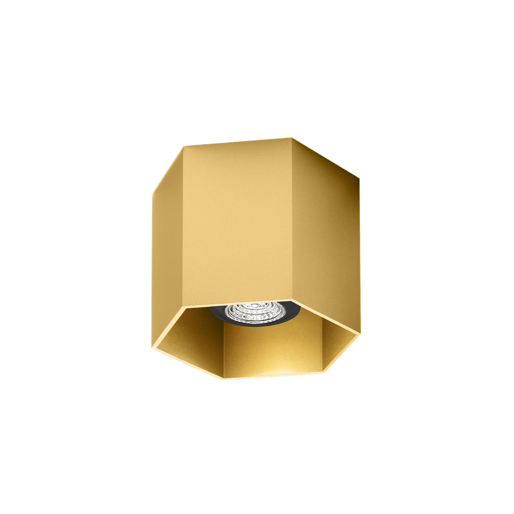 HEXO CEILING SURF 1.0 PAR16 G