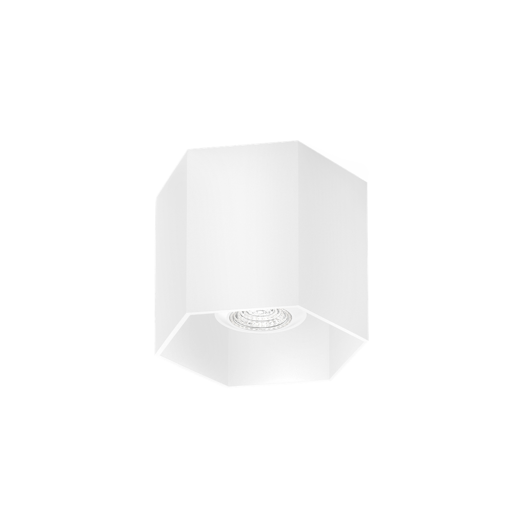 HEXO CEILING SURF 1.0 PAR16 W