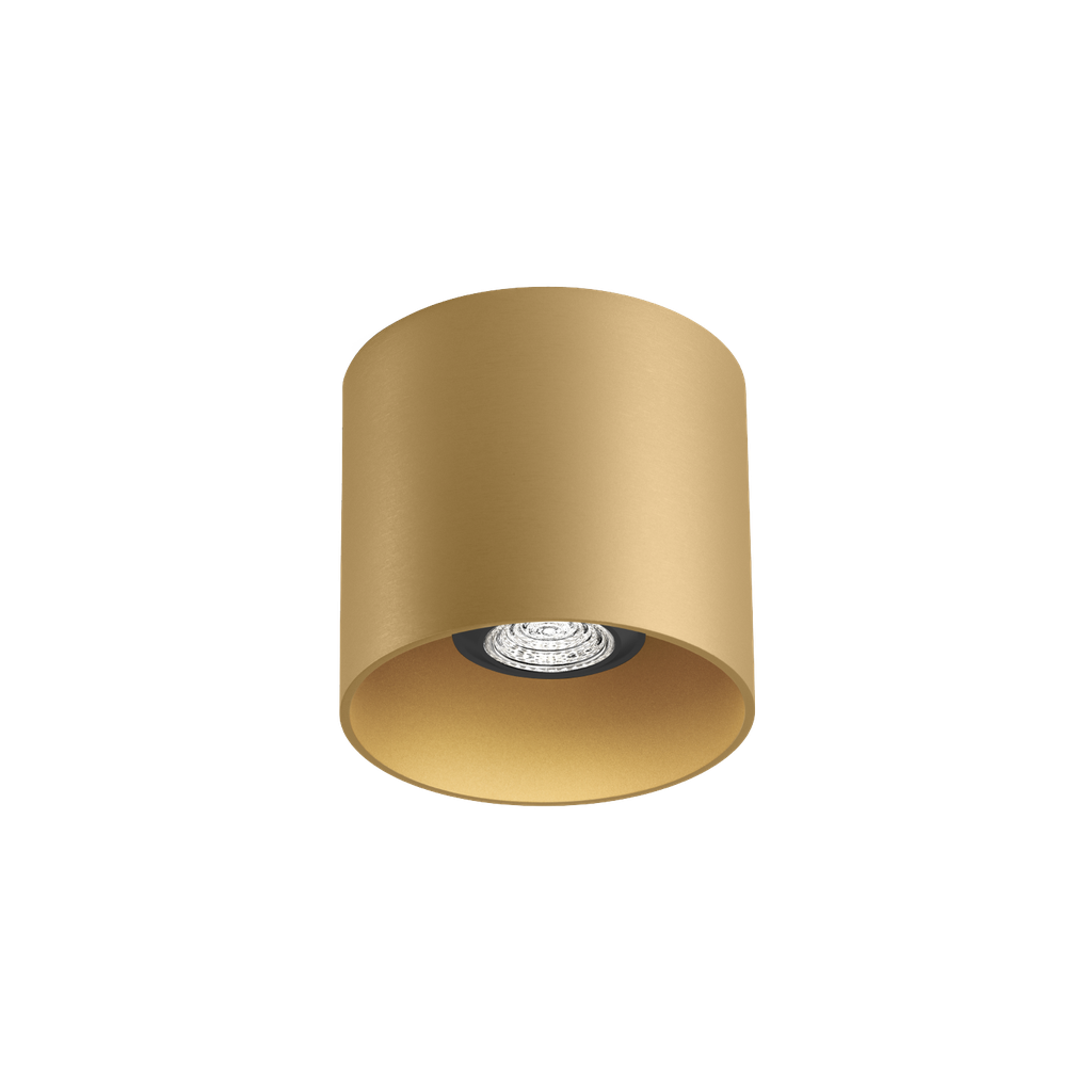 RAY CEILING SURF 1.0 PAR16 M