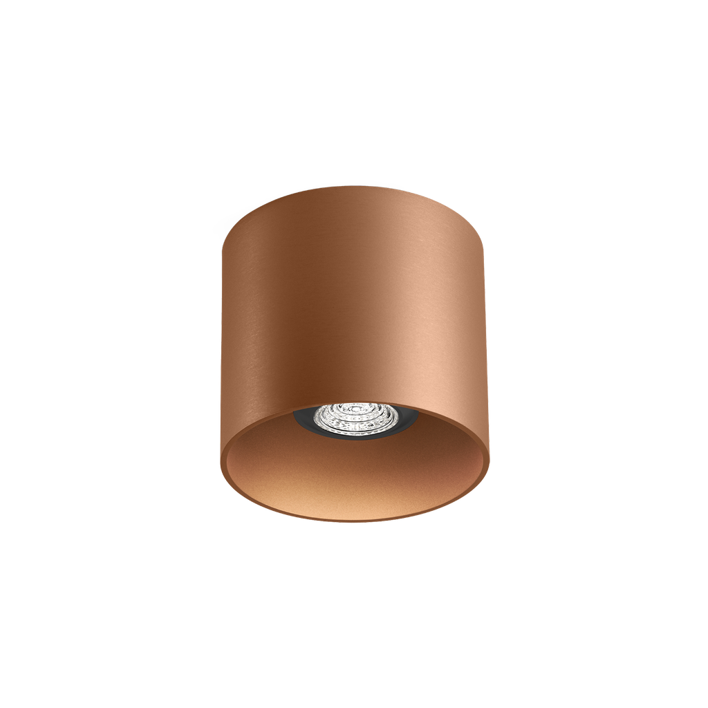 RAY CEILING SURF 1.0 PAR16 P