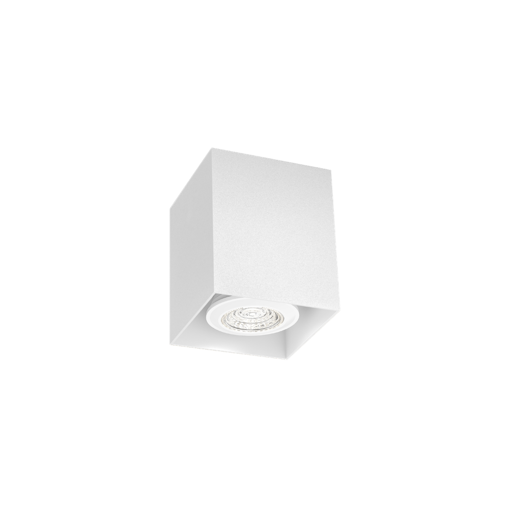 BOX MINI CEILING SURF 1.0 PAR16 W