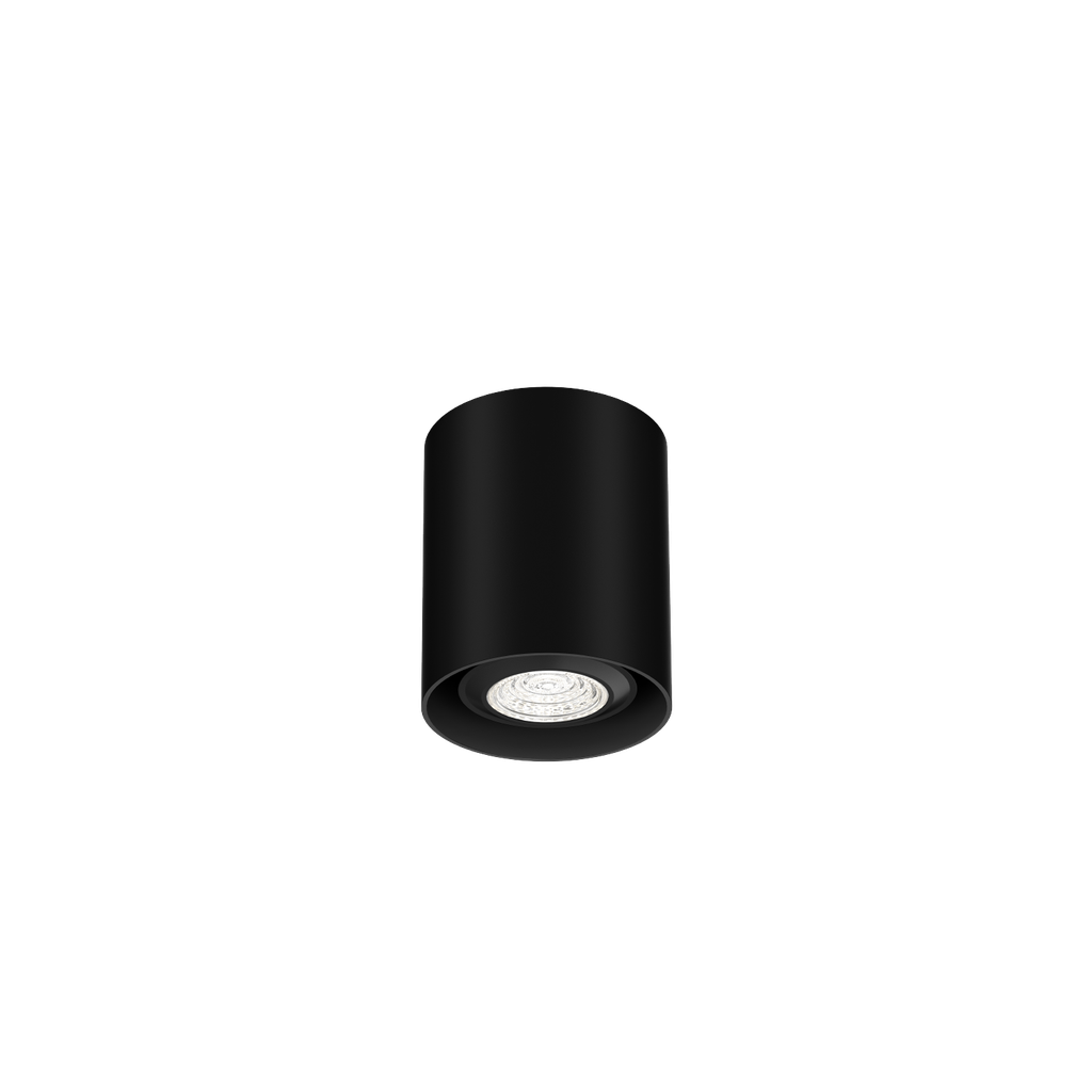 RAY MINI CEILING SURF 1.0 PAR16 B