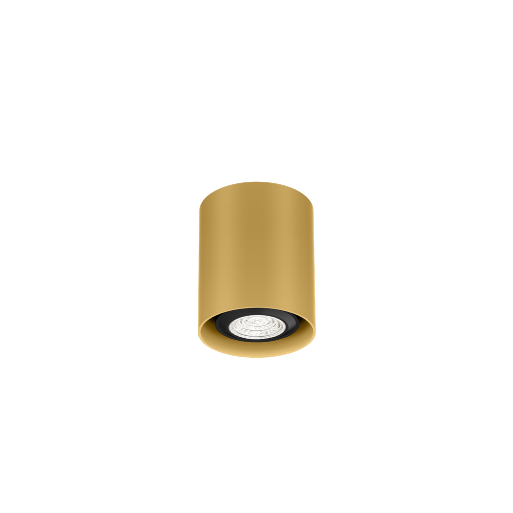 RAY MINI CEILING SURF 1.0 PAR16 G