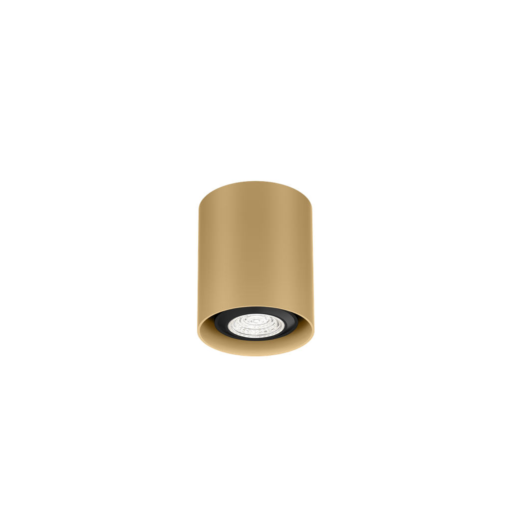RAY MINI CEILING SURF 1.0 PAR16 M