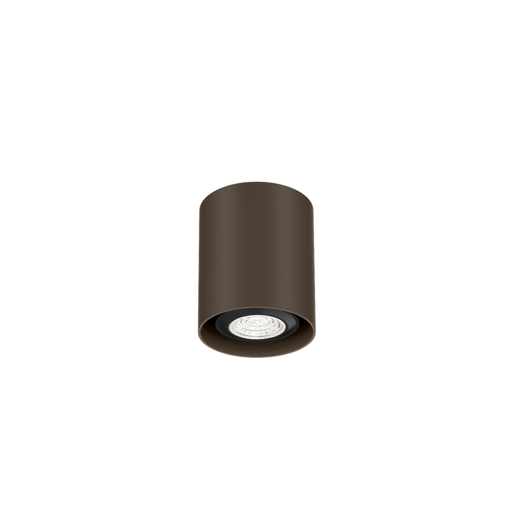 RAY MINI CEILING SURF 1.0 PAR16 Q