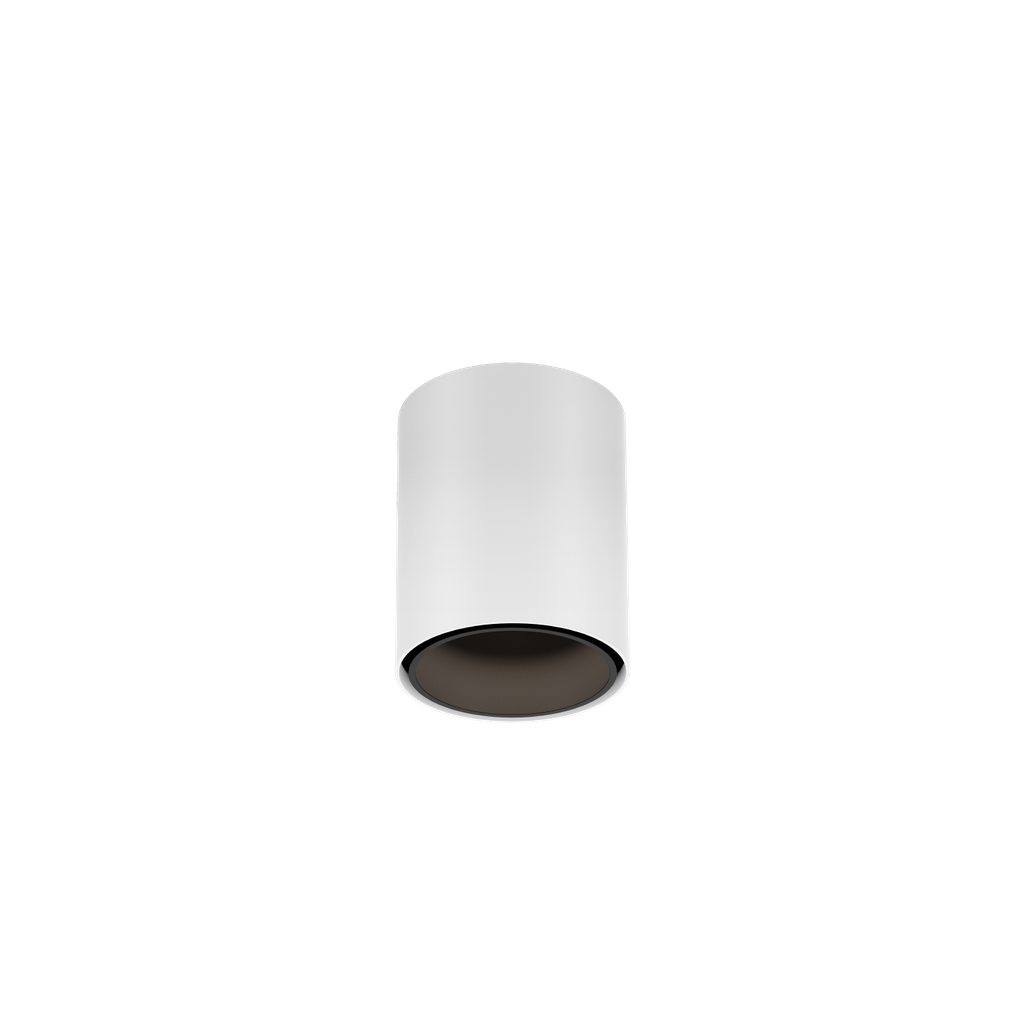 RAY MINI CEILING SURF 1.0 LED 2700K W-B