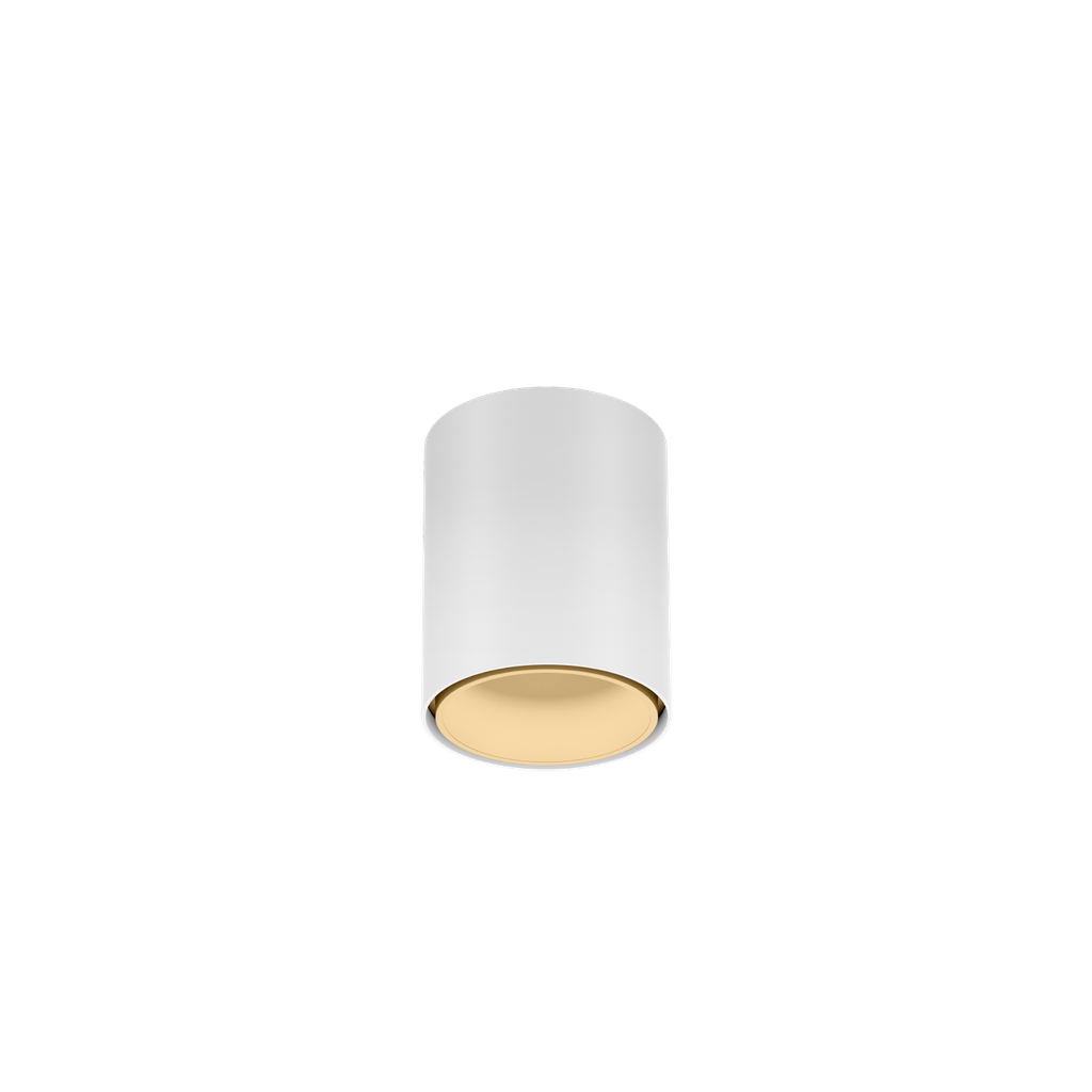 RAY MINI CEILING SURF 1.0 LED 3000K W-M