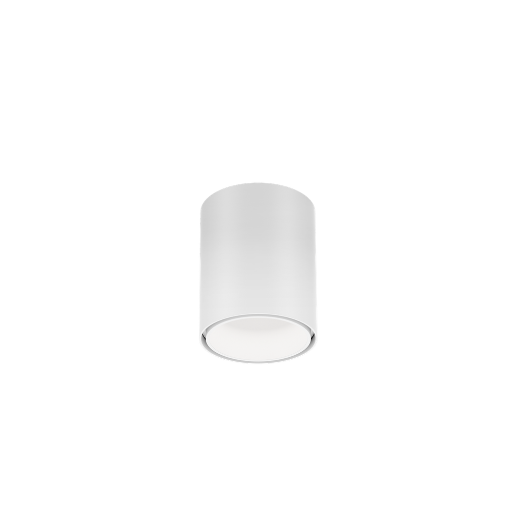 RAY MINI CEILING SURF 1.0 LED 2700K W-W