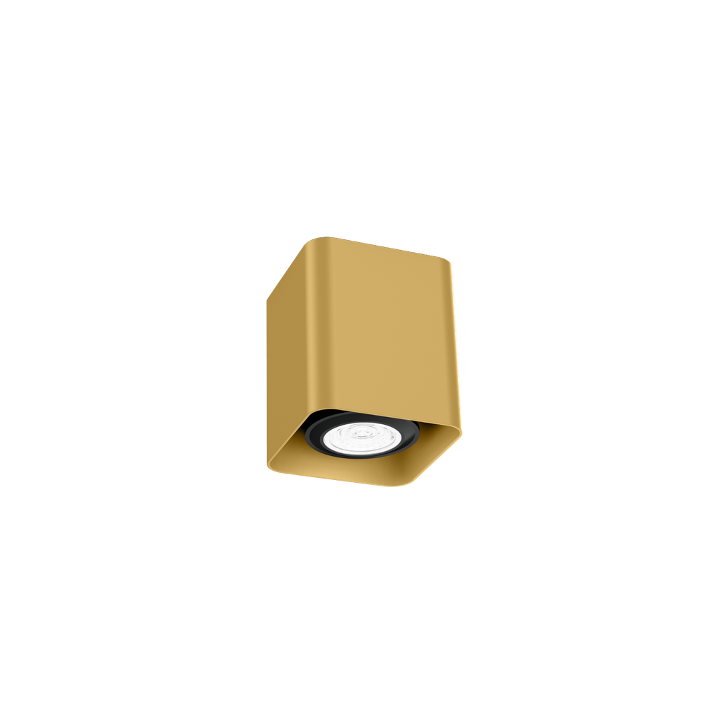 DOCUS MINI CEILING SURF 1.0 PAR16 G