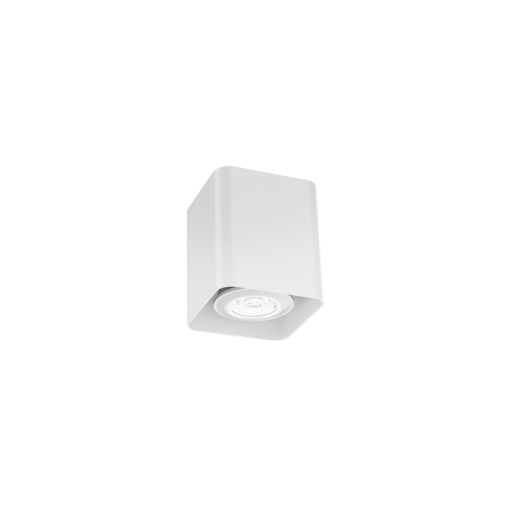 DOCUS MINI CEILING SURF 1.0 PAR16 W