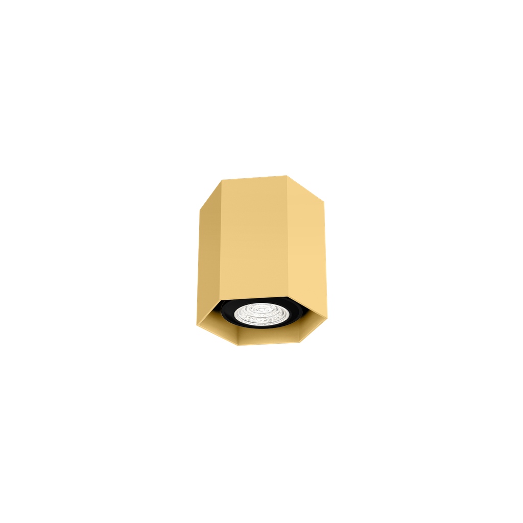 HEXO MINI CEILING SURF 1.0 PAR16 G
