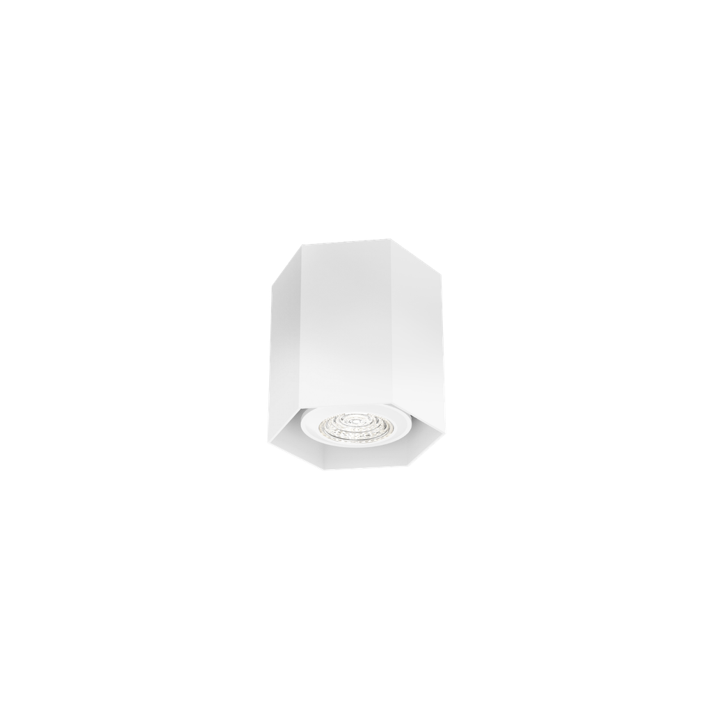 HEXO MINI CEILING SURF 1.0 PAR16 W