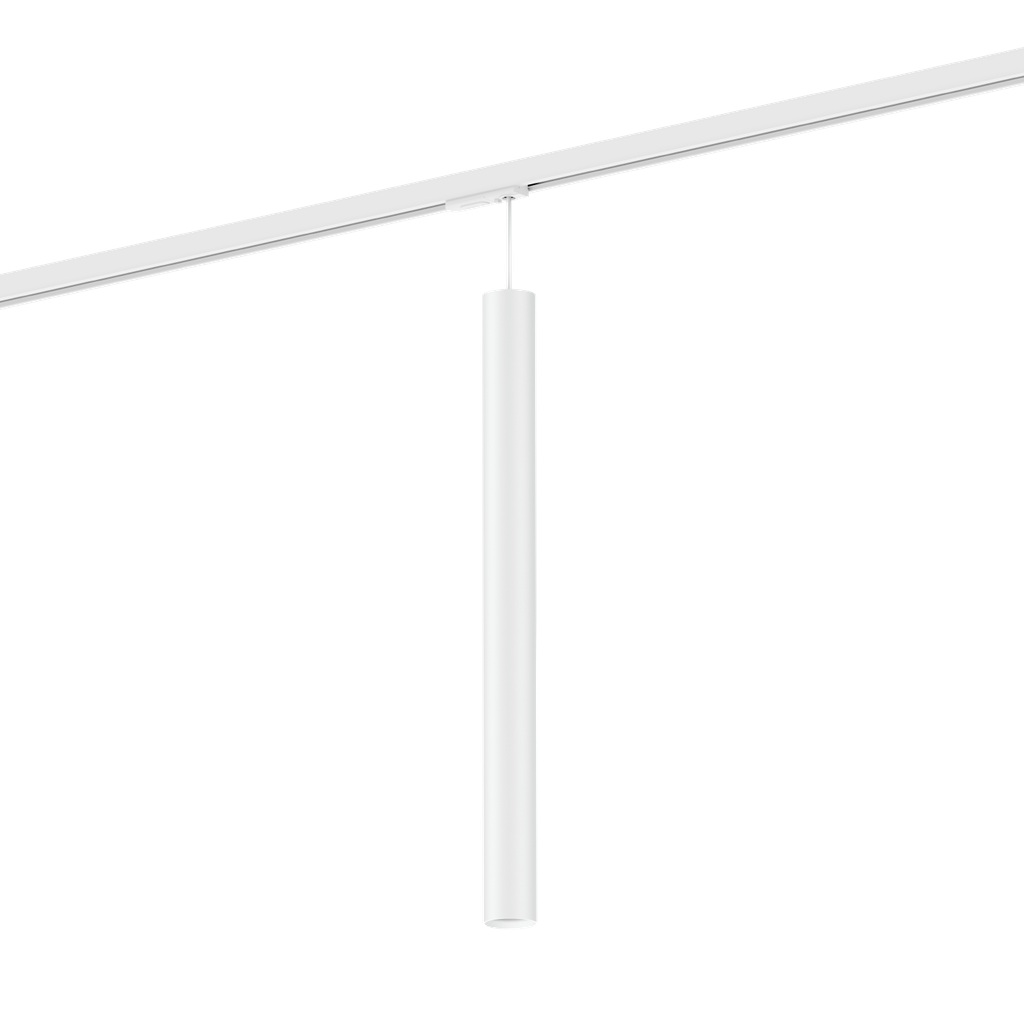 RAY MINI ON TRACK 1-PHASE 5.0 PAR11 W
