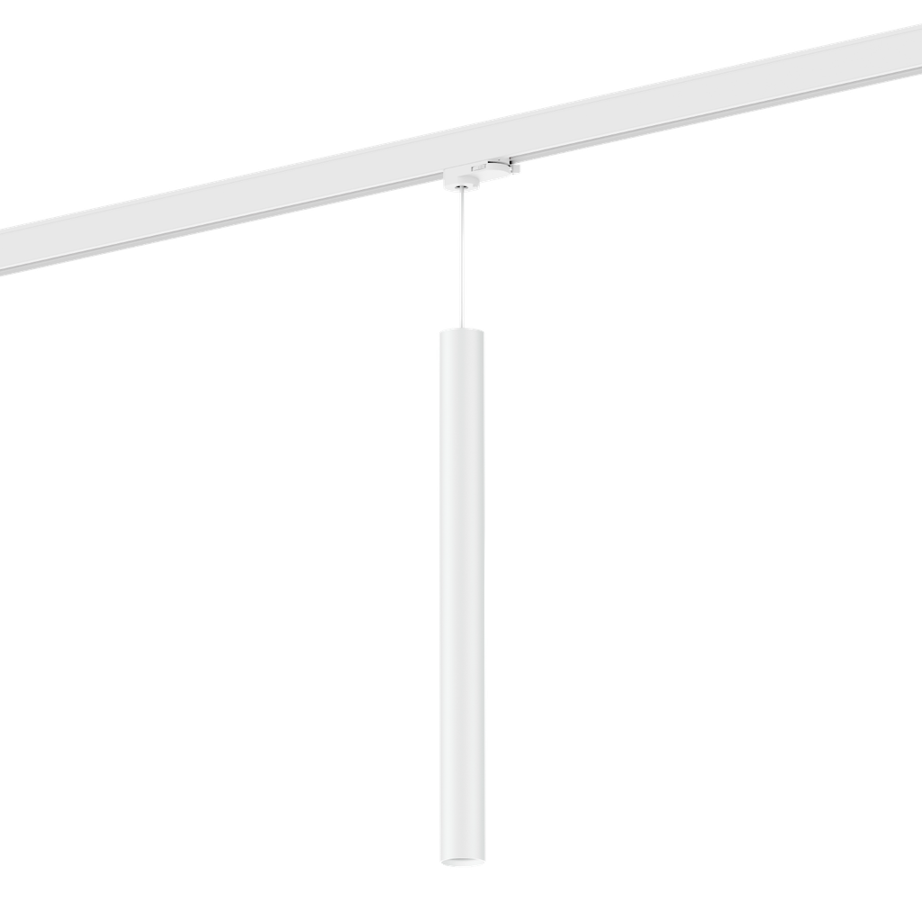 RAY MINI ON TRACK 3-PHASE 5.0 PAR11 W