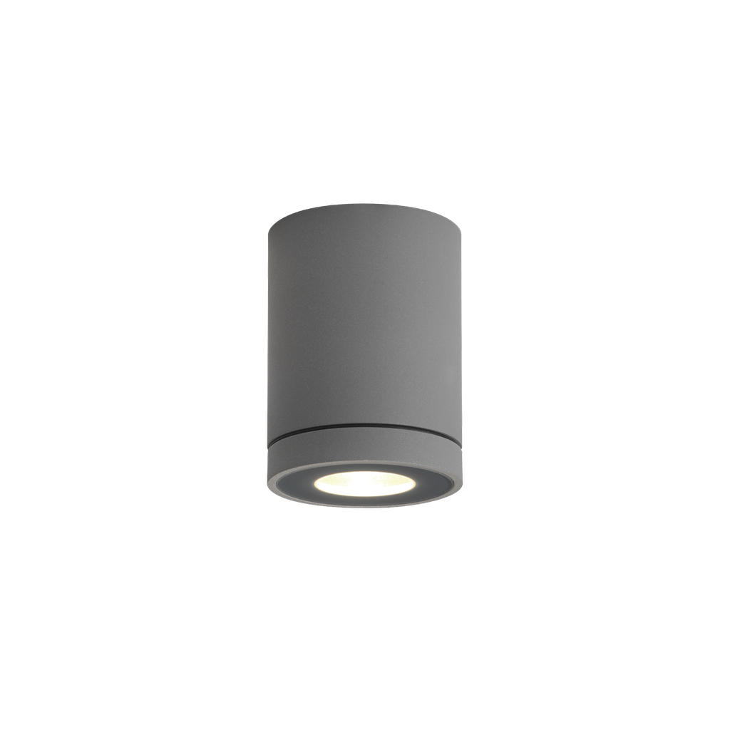 TUBE OUTDOOR CEILING SURF 1.0 PAR16 D