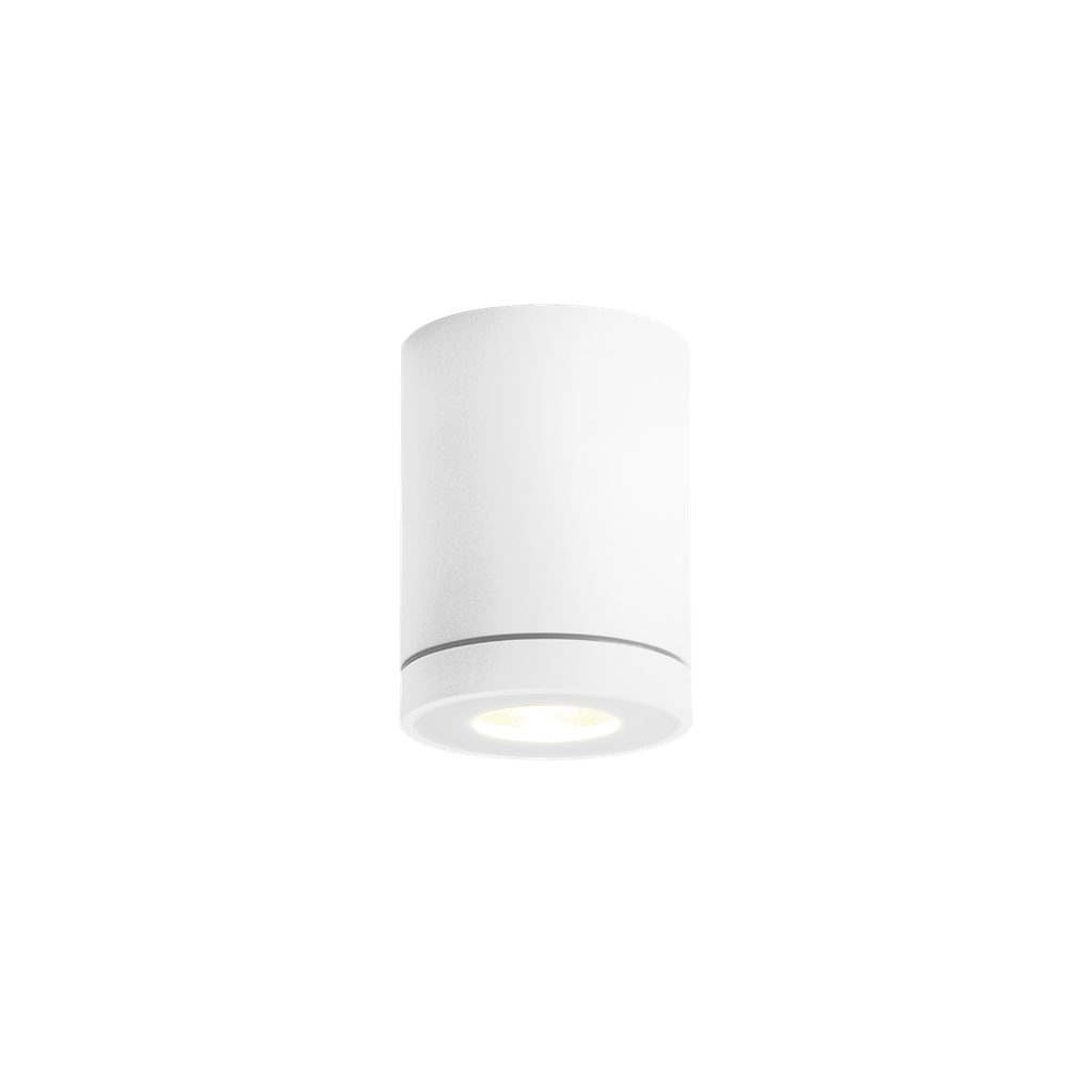 TUBE OUTDOOR CEILING SURF 1.0 LED 3000K W