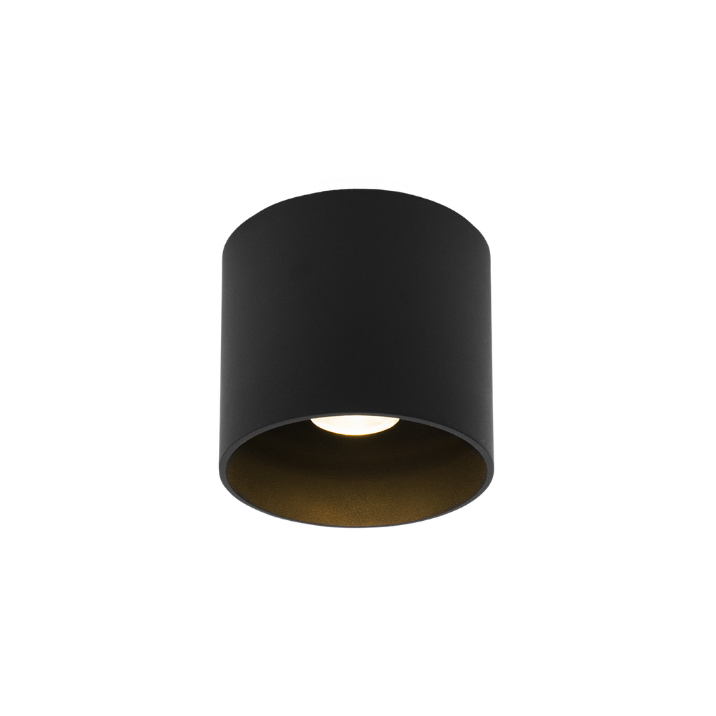 RAY OUTDOOR CEILING SURF 1.0 LED 2700K B