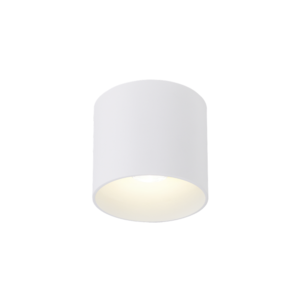 RAY OUTDOOR CEILING SURF 1.0 LED 2700K W