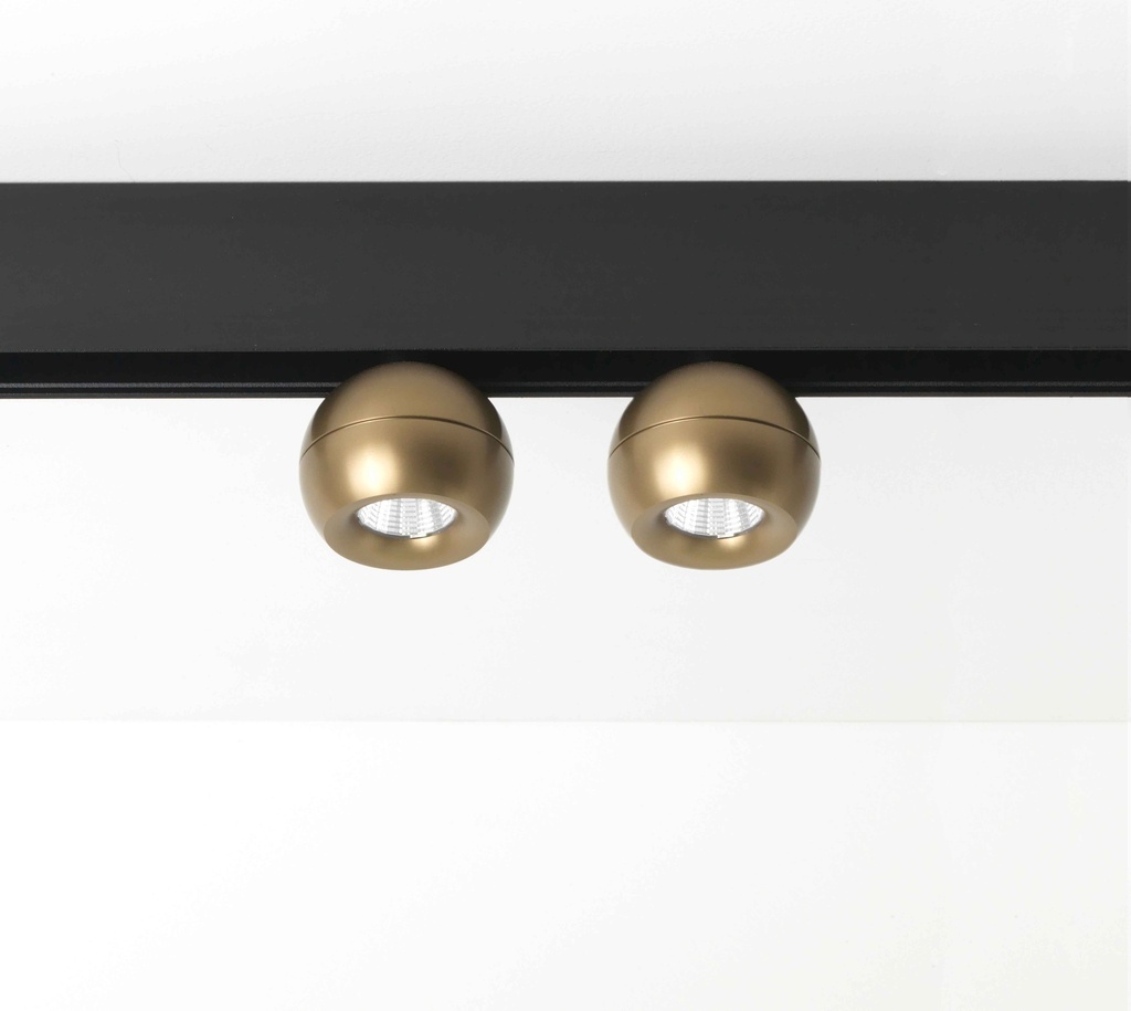 Wally 2 AT H ON Gun Metal Bronze 927 50° Dali