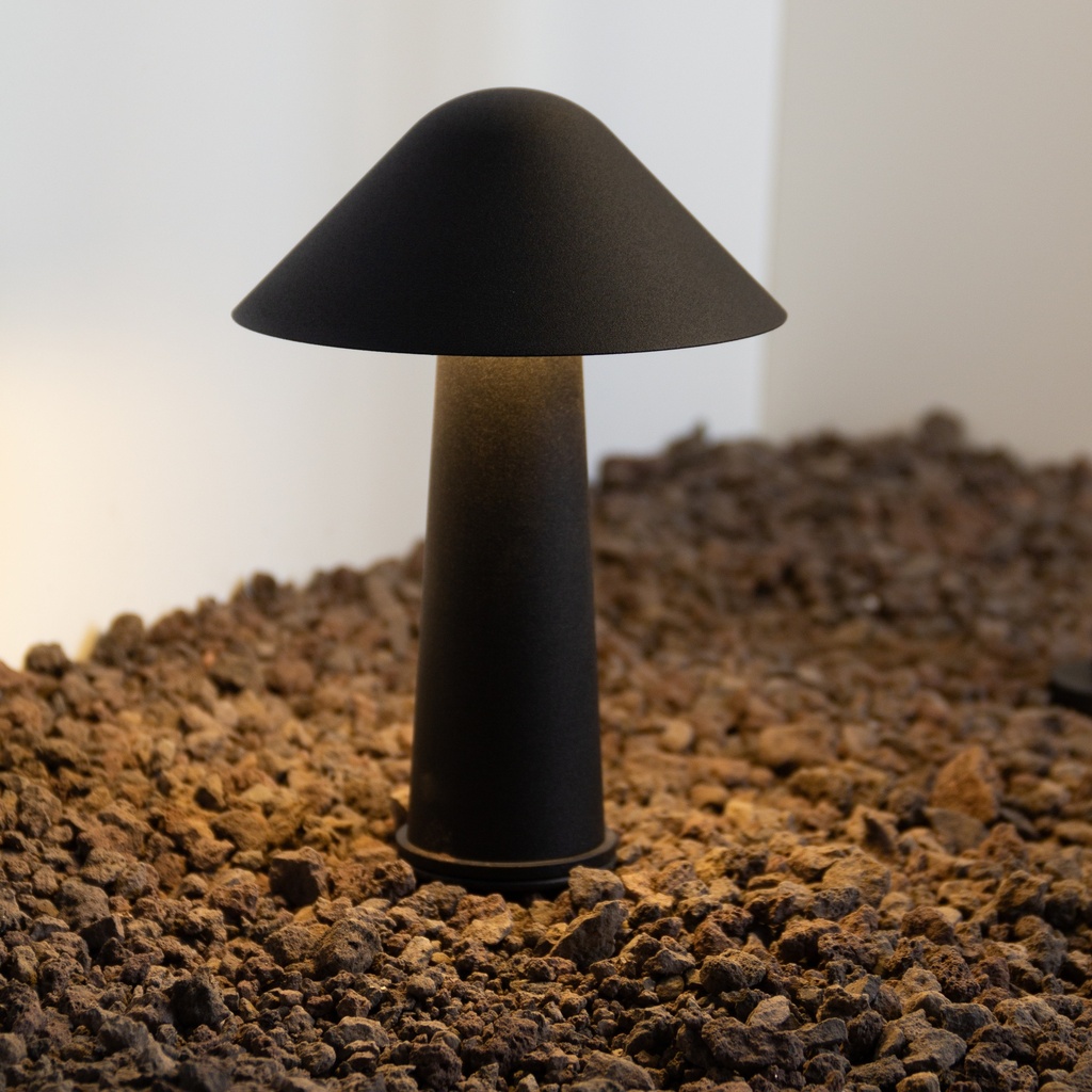 Funghi R ES