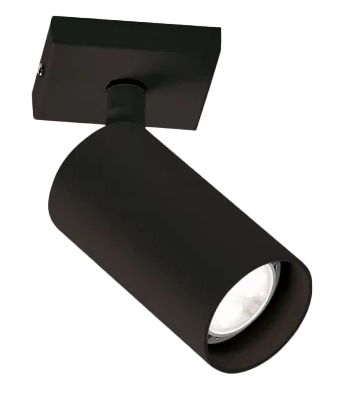 SP1