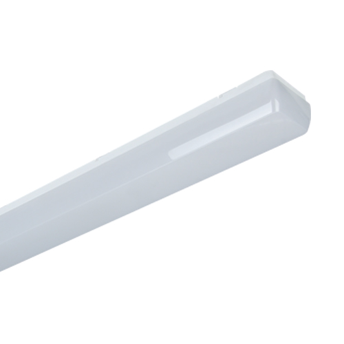 LINEA IP54