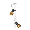 2Thirty-C2 in with honeycomb BLACK frame + BLACK rod + BLACK swivel + BRONZE ring / 40° + 12° / dimmable (TRIAC)2x 1000LM 2700K CRI90 IP50
