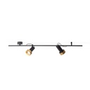 2Thirty-CH2 BLACK frame + BLACK rod + BLACK swivel + BRONZE ring / 24° + 40° / dimmable (TRIAC/IGBT)2x 1000LM 2700K CRI90 IP50